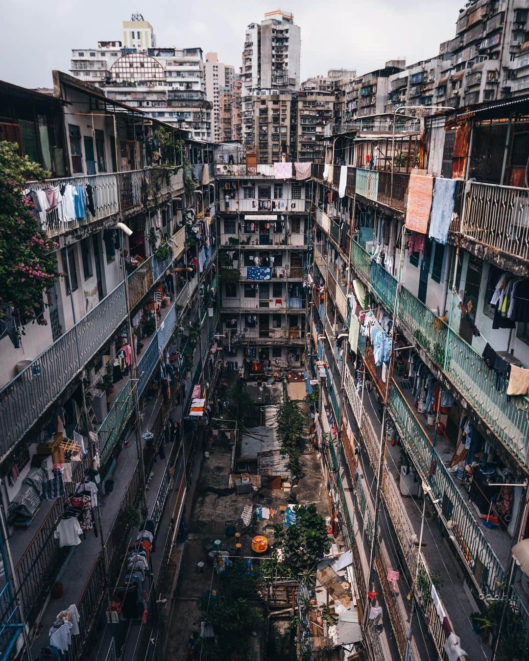 R̸K̸さんのインスタグラム写真 - (R̸K̸Instagram)「Hong Kong / Macau Street Pack ・ ・ ・ ・ #beautifuldestinations #discoverearth #fantastic_earth #awesome_earthpix #ourplanetdaily #visualambassadors #stayandwander #awesome_photographers #IamATraveler #wonderful_places #TLPics #depthobsessed #designboom #voyaged #sonyalpha #bealpha #aroundtheworldpix #streets_vision #complexphotos #d_signers #lonelyplanet #modernArchitect #architectanddesign #architecture_hunter #artsytecture #amazingarchitecture #luxuryworldtraveler #fromwhereidrone #onlyforluxury #lovetheworld @sonyalpha  @lightroom @9gag @paradise @mega_mansions @natgeotravel @awesome.earth @national_archaeology」12月11日 21時00分 - rkrkrk