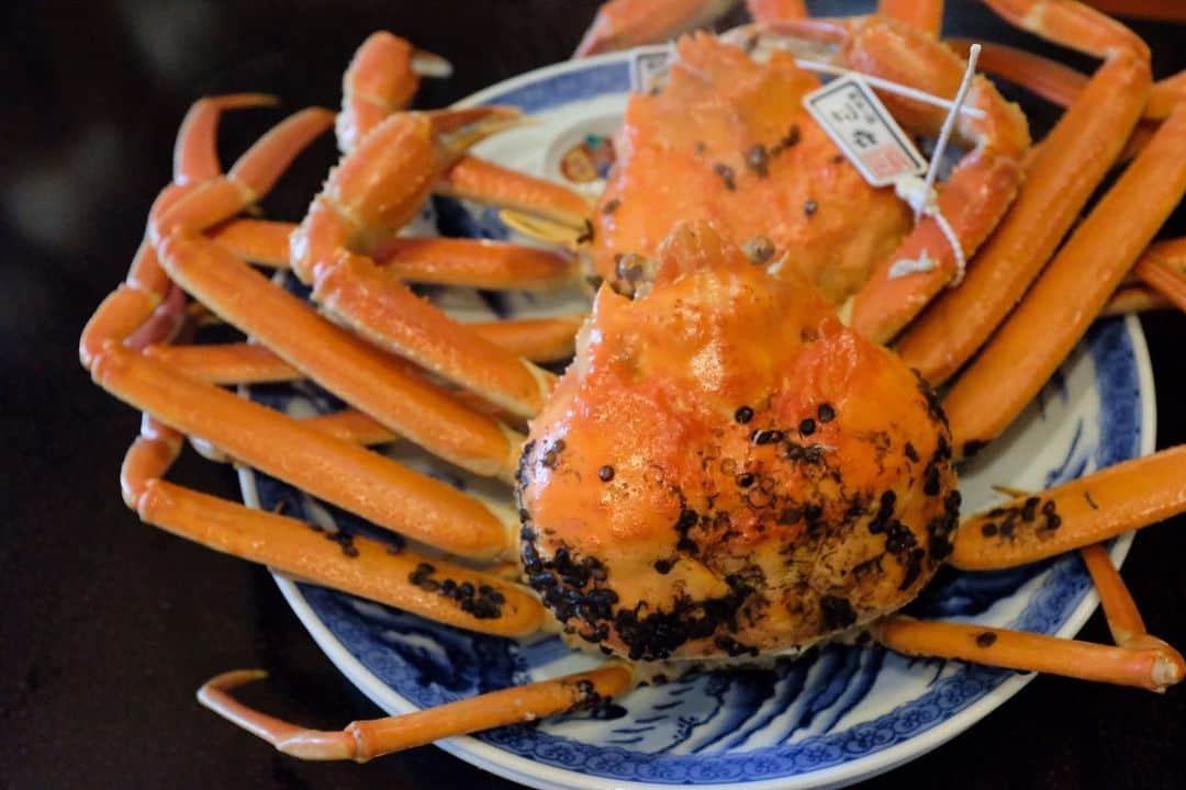 舞川あいくのグルメインスタ