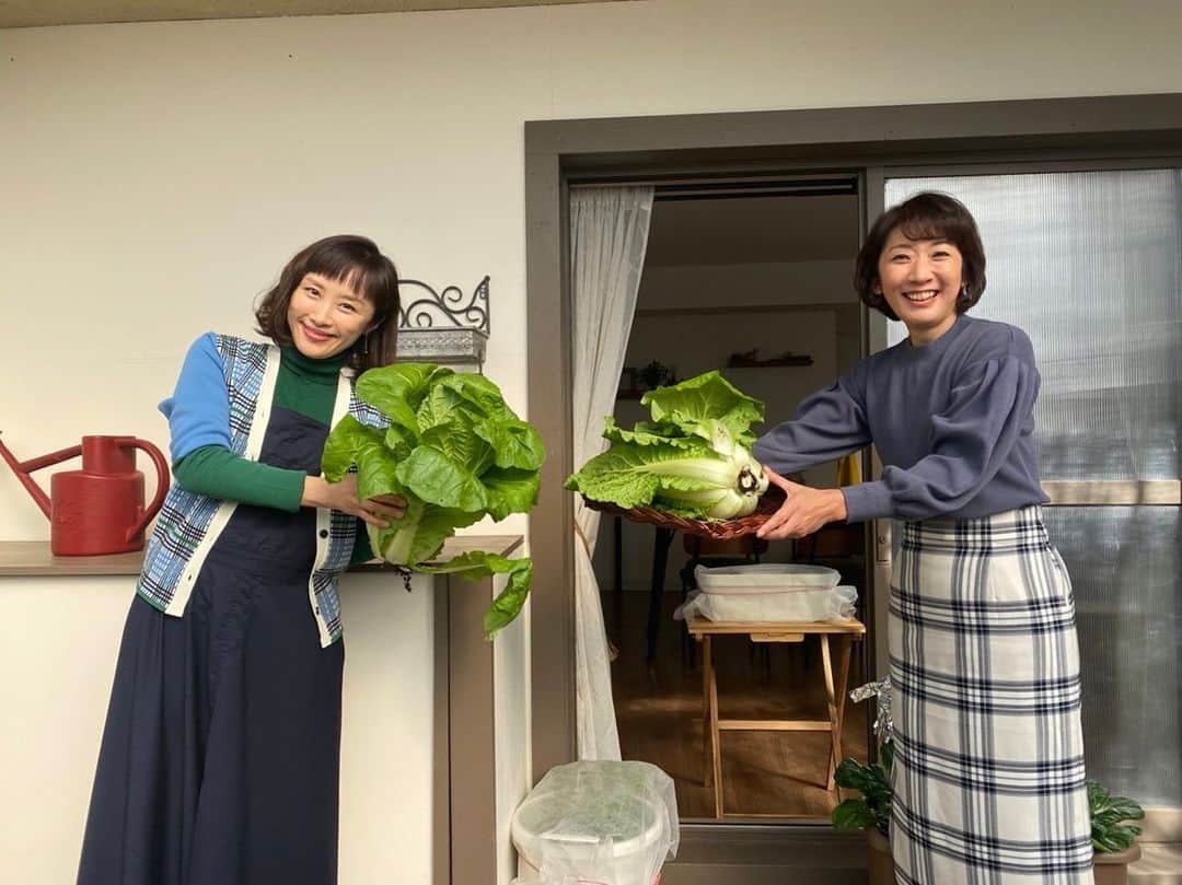 山口もえのインスタグラム：「・  次回のやさいの時間📺は 葉ダイコンを育てます💕 ダイコンの葉じゃないの⁉️って思ってたら 違うんです！！ 葉がとても美味しくて栄養もたっぷりで サラダとしても食べられるんだって♡ それから土のリサイクル作業もします。 皆が気になる使い終わった後の土の再利用 是非ご覧ください✨  それにしても 私めっちゃ笑ってる！😊笑  12月12日(日)8:00〜8:25 NHK-E「趣味の園芸 やさいの時間」 もえのプランター菜園  #やさいの時間#TV#プランター菜園  #ガーデニング#家庭菜園 #深町貴子 さんと#❤️ #笑ってばっかり」