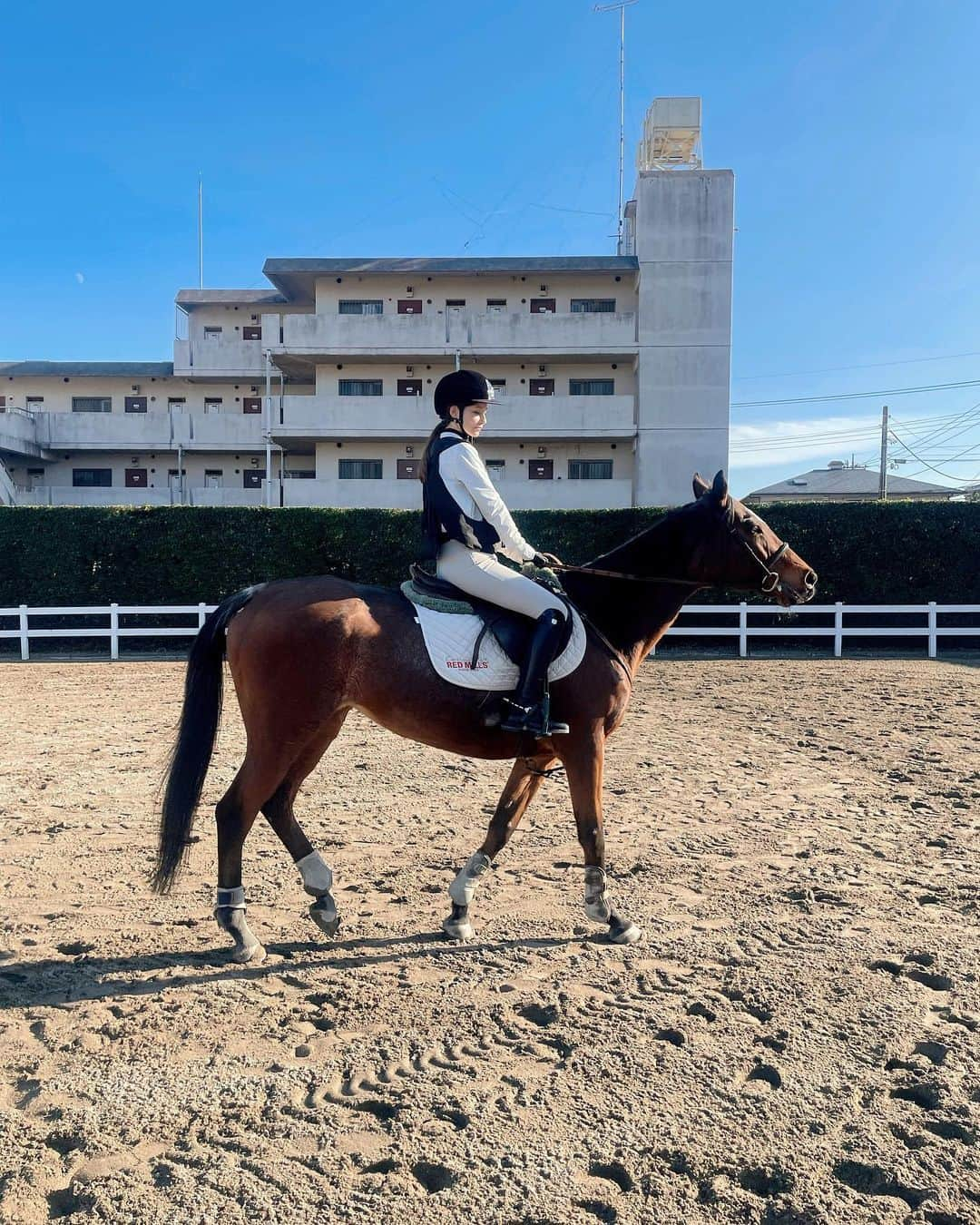 ダレノガレ明美さんのインスタグラム写真 - (ダレノガレ明美Instagram)「朝一の乗馬気持ちよかったです🐴」12月11日 15時35分 - darenogare.akemi