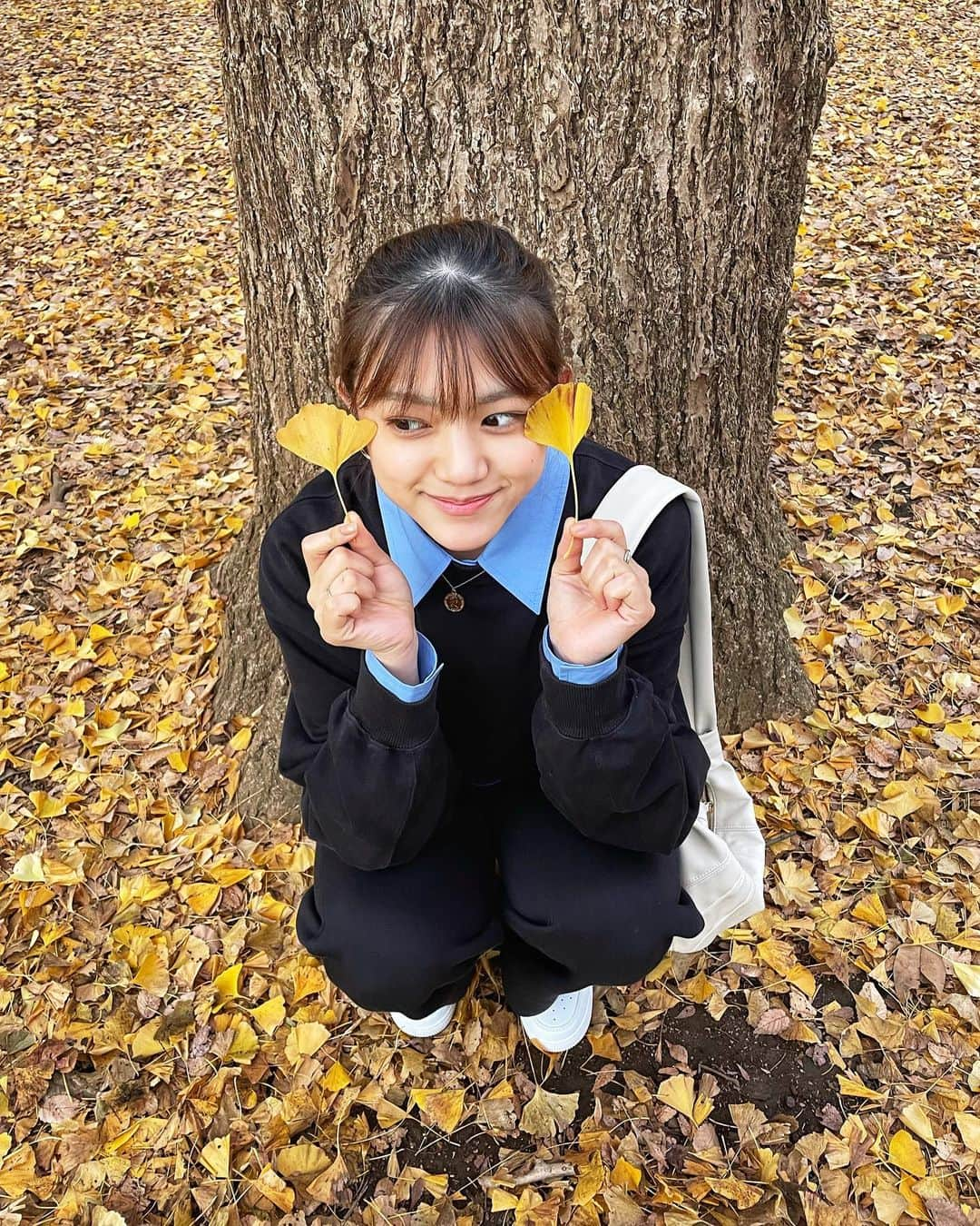 田谷菜々子さんのインスタグラム写真 - (田谷菜々子Instagram)「🍁🍁🍁 滑り込み! お昼はイチョウが綺麗で夜はイルミネーションが綺麗で素敵🌟」12月11日 17時47分 - nanako_taya