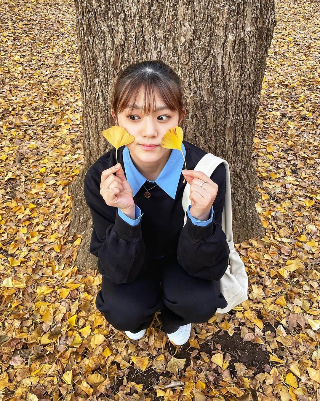 田谷菜々子さんのインスタグラム写真 - (田谷菜々子Instagram)「🍁🍁🍁 滑り込み! お昼はイチョウが綺麗で夜はイルミネーションが綺麗で素敵🌟」12月11日 17時47分 - nanako_taya