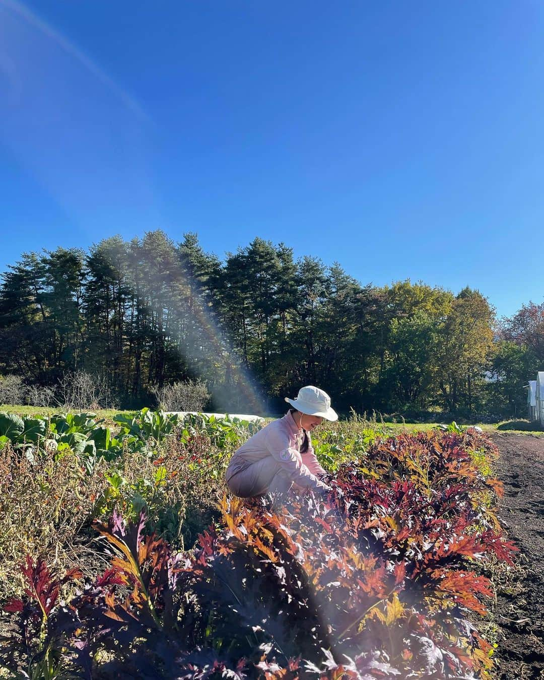 浅田真央さんのインスタグラム写真 - (浅田真央Instagram)「畑の師匠やまちゃんと私🌞🌈 #アルソア #レインボーファーム #ドリームファーム #収穫 #無農薬 #無農薬野菜 #にんじん #さつまいも #かぶ #ビーツ #とうもろこし #里芋 #落花生」12月11日 20時02分 - maoasada2509