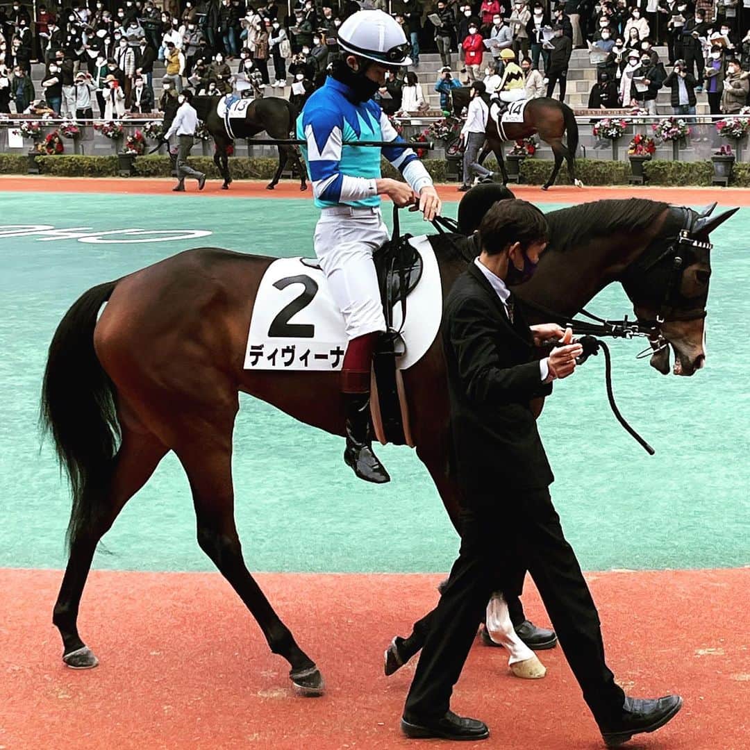 榎本加奈子のインスタグラム：「ディヴィーナを応援してくださった方々ありがとうございました✨🙏✨ #中京7R#jra#西村淳也騎手 #友道厩舎 #お母さん #ヴィルシーナ #🐎」