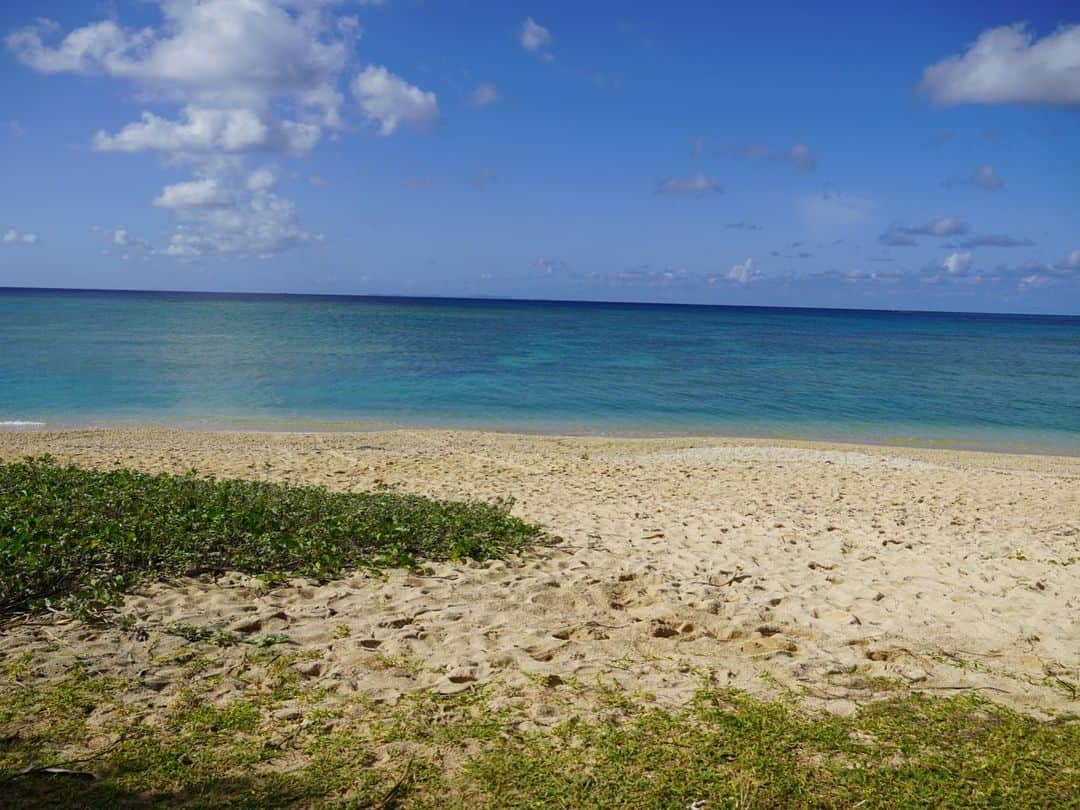 森麻季さんのインスタグラム写真 - (森麻季Instagram)「🏝  11月に行った沖縄 更新しますと言ったきり師走💦 というわけでまずはアクティビティー編  3歳児も出来たカヤック🚣‍♂️ ドローン撮影までしてくれました！ 海の温度は２ヶ月前、が目安らしく寒くもなかったみたいです 息子はカヤックの上から覗けるグラスも借りて、たくさんお魚見られたよーと大興奮で帰ってきました 終始見学の私ですが、暑くて汗かいて待った甲斐がありました  #沖縄旅行 #家族旅行 #沖縄旅行 #沖縄 #okinawa #アクティビティー #読谷村 #カヤック #シーカヤック #3歳 #3歳半 #子連れ旅行 #ドローン #第二子妊娠中」12月12日 8時56分 - maki.mori_m