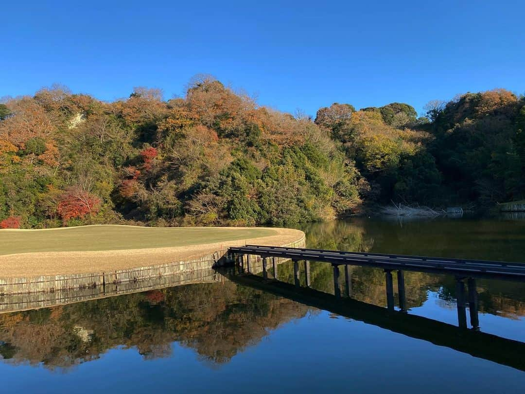 秋本祐希さんのインスタグラム写真 - (秋本祐希Instagram)「美しいゴルフ場⛳️ ラウンド中のにっくき池にも 紅葉がうつる風情 12月とは思えない暖かさでのenjoy golf✨ 皆さま 楽しい1日をありがとうございました☺︎ #オークヴィレッジ #golf #ゴルフ 最高のキャディさんでした⛳️✨」12月12日 10時52分 - ayuuki0908