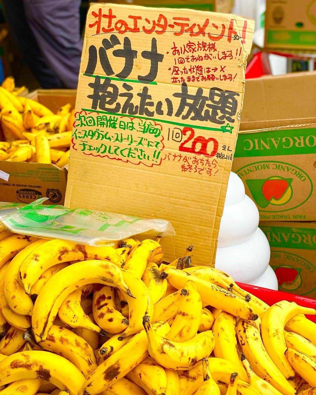 東克樹さんのインスタグラム写真 - (東克樹Instagram)「バナナ抱えたい放題やってきました🍌  #バナナ  #バナナ抱えたい放題  #八百屋壮  #八百屋壮さんありがとうございます  #腕力必要  #腕パンパン  #来シーズン分確保」12月12日 10時54分 - katsuki1995