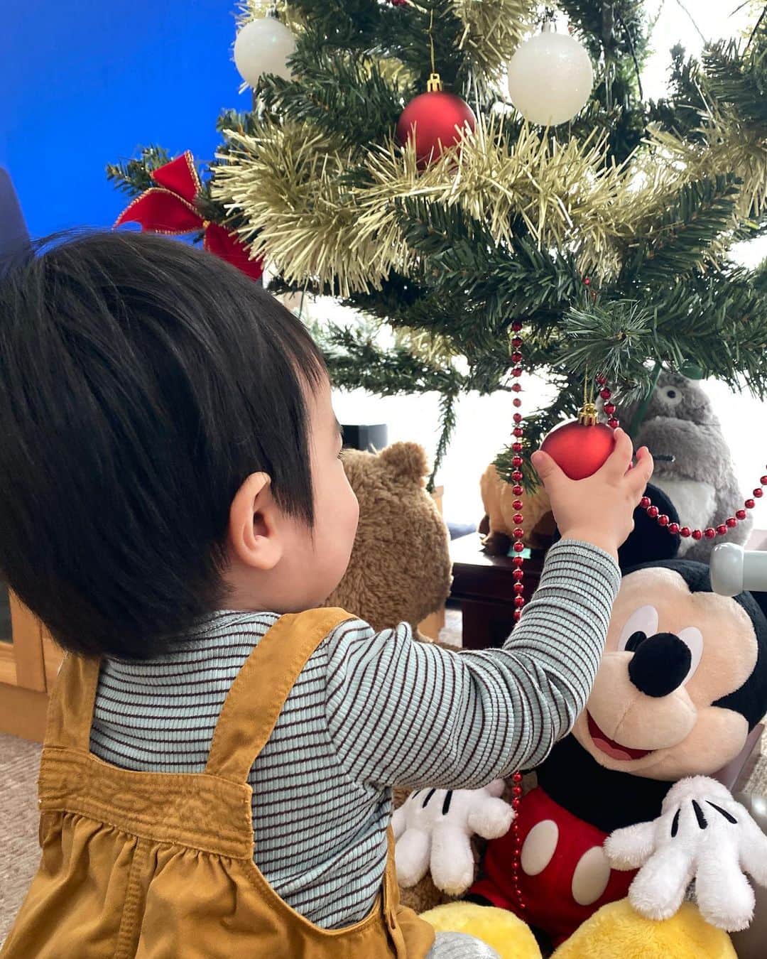 のインスタグラム：「ひきちぎるかと思ったけど、今のところツリーの飾りを優しくさわっています🎄✨🎅  #クリスマスツリー#1歳」