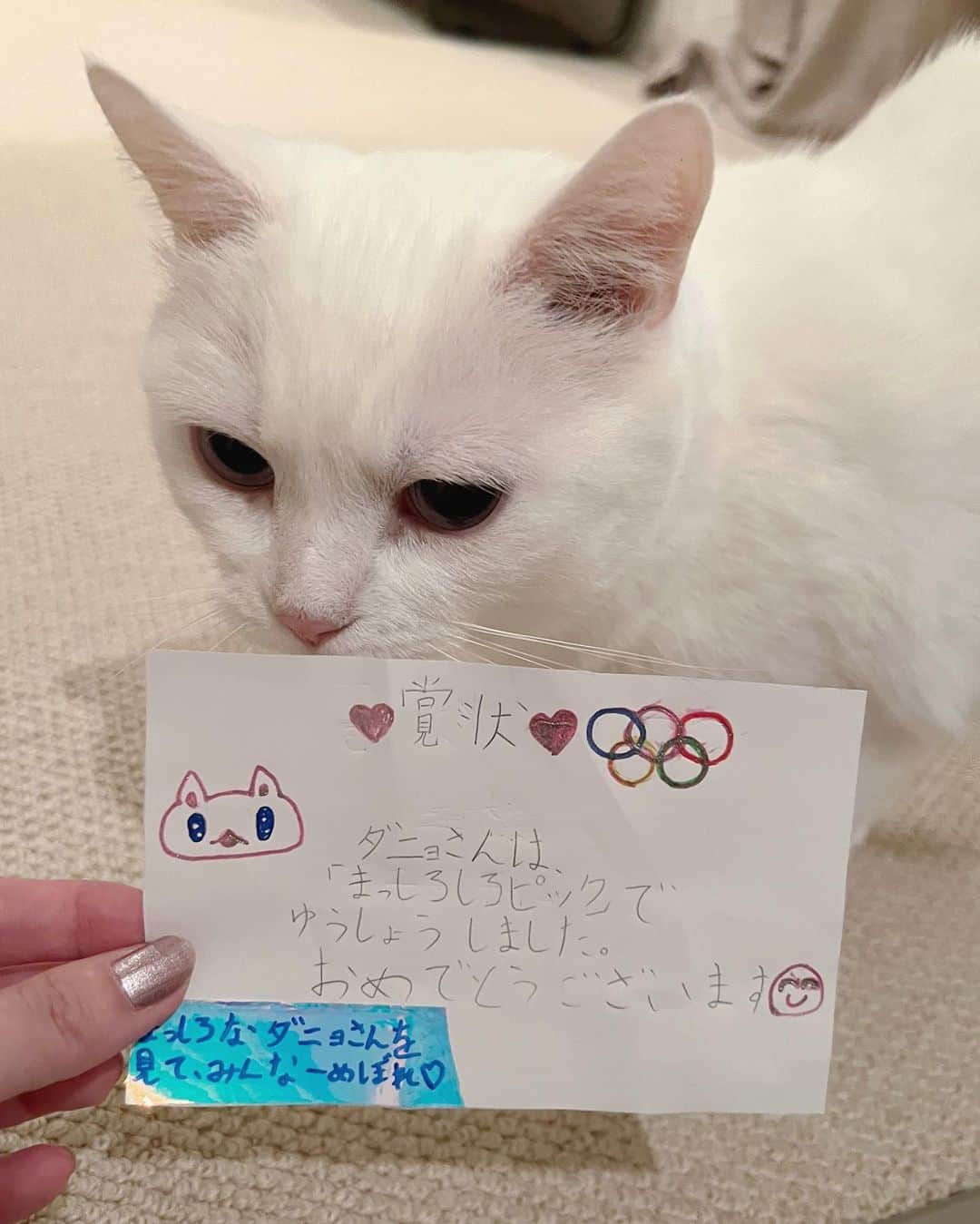 ダニョ（鈴木えみ）のインスタグラム：「優勝したにょ🏆 #danyo #danyocawaii #munchkin #whitecat #catstagram #catlovers」