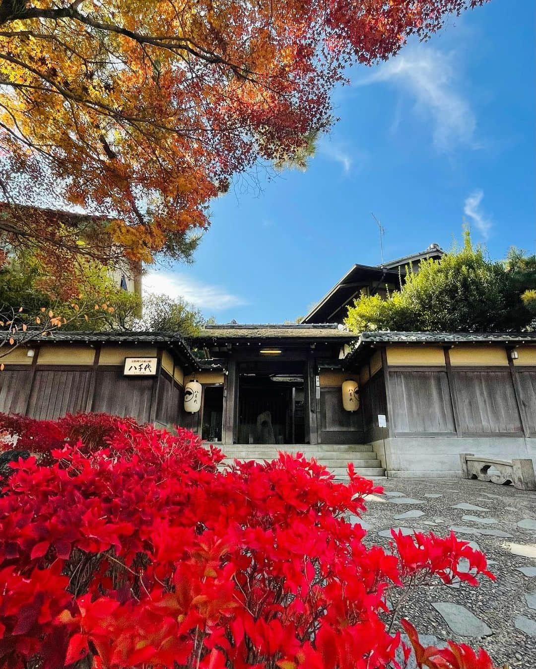 Manaさんのインスタグラム写真 - (ManaInstagram)「🍁⛩🇯🇵𝑲𝒀𝑶𝑻𝑶🤎𝑩𝒆𝒂𝒖𝒕𝒊𝒇𝒖𝒍 𝒋𝒂𝒑𝒂𝒏𝒆𝒔𝒆 𝒉𝒐𝒕𝒆𝒍✨ . こんばんは😊 先日の京都で宿泊した 素敵な旅館をご紹介します💕 . 1915年より南禅寺の別邸としてあった 老舗の料亭旅館「南禅寺 八千代」 . 南禅寺は紅葉の観光地としても有名で 表参道に面しているこちらの旅館は 紅葉のピーク時には予約が取れないほど人気で ずっと行きたかった旅館🥺❤️ . 広い日本庭園に囲まれたお部屋は 日中も夜も素敵で秋には紅葉を眺めて お食事をすることができ、とても贅沢でした💕 . . お食事は枚数制限で載せきれませんでしたが 松茸、鮑、伊勢海老、鯛などの食材が 京都ならではの繊細なお料理となっていて 舌鼓を打つような美味しさでした✨ またいつか必ず伺いたいです💓 . . . #京都 #京都観光 #京都旅行 #秋コーデ #赤コーデ #紅葉コーデ #日本庭園 #旅館 #料亭 #老舗旅館 #ステイケーション #京料理 #京都グルメ #京都ランチ #日本酒 #京都ホテル #紅葉 #紅葉狩り #2021秋冬 #そうだ京都行こう #南禅寺 #南禅寺八千代 #八千代 #kyoto #kyotojapan #ryokan #japanesehotel #nanzenji」12月12日 23時13分 - mana.tcy