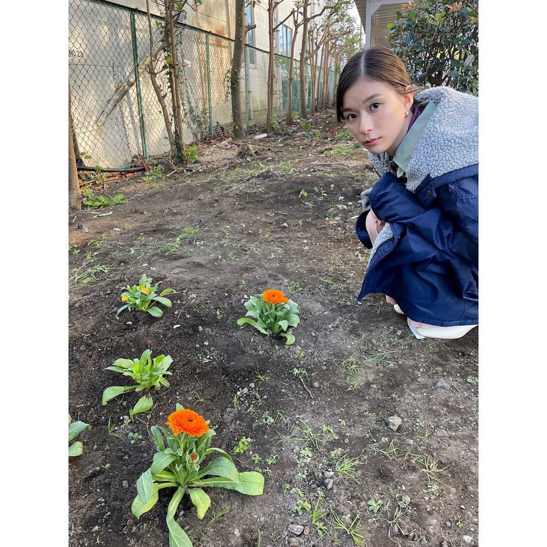 芳根京子さんのインスタグラム写真 - (芳根京子Instagram)「わわわわわわわ バタコさん？？？？？ あっちゃん！！！！！  来週もお楽しみに。  そしてこちらはお花が咲いたので撮ってみました、の写真です。  写真撮ってたら知らぬ間に こたちゃんが入ってくれてた！🐢  #真犯人フラグ」12月12日 23時27分 - yoshinekyoko