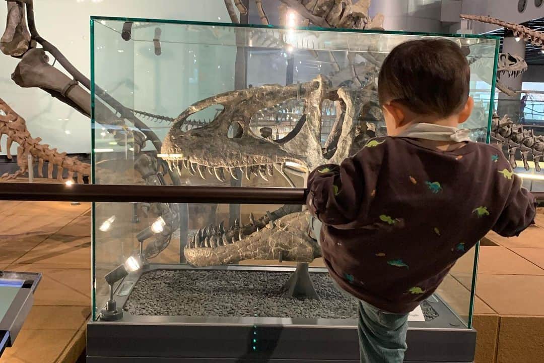 服部水季さんのインスタグラム写真 - (服部水季Instagram)「【福井🦖恐竜博物館】  11月末、結婚(式)記念日の旅行？で福井へ。  目的は恐竜博物館。 (前日には石川県のコマツの重機見学)  博物館は大人目線でめちゃめちゃカッコ良い。 骨格、模型と沢山展示物があるんだけど、ごちゃごちゃせずに引き込まれちゃう。 ライティングとか抜群だったな‼️  実物のアロサウルスの頭の骨とか痺れたわ〜。  帰った後のヨガレッスンクラスで、偶然この施設の話になって 6年生の男の子ママが恐竜博物館色々行ったけど抜群に良いと言ってた！  おすすめです👍👍👍  結婚して二人だった頃に知らなかった世界が息子を持ったことで、すっごく広がる。  #恐竜博物館 #福井県 #ティラノサウルス」12月13日 10時37分 - yoginimizuki