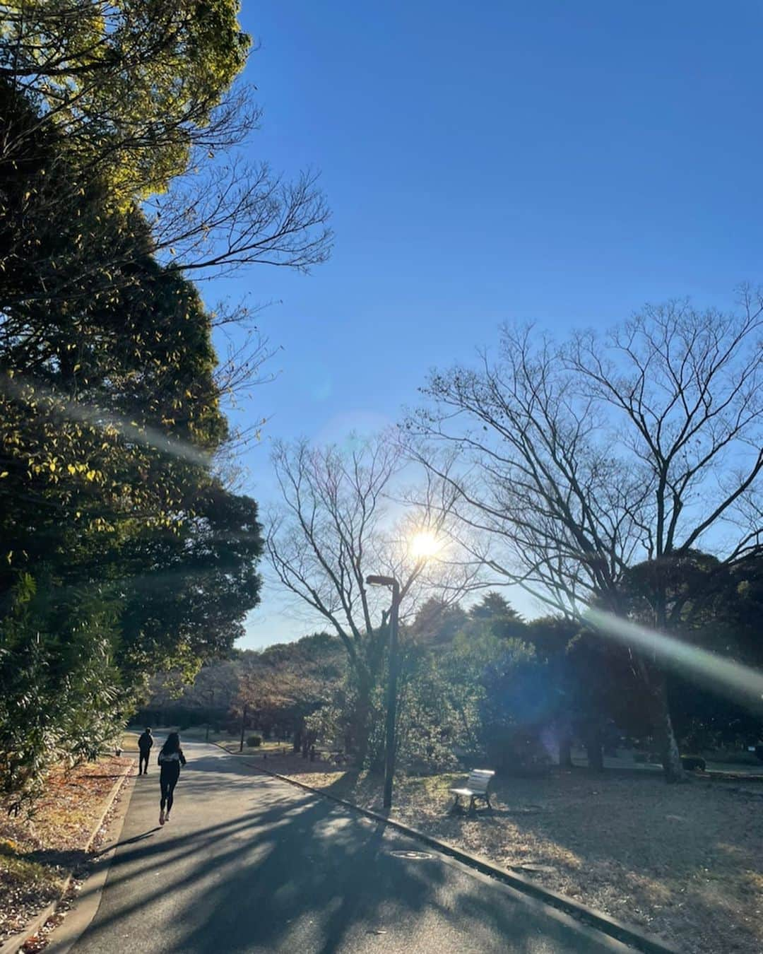 市川海老蔵 （11代目）さんのインスタグラム写真 - (市川海老蔵 （11代目）Instagram)「Chilly outside but found lots of beautiful places.  * 冷えるけど 綺麗なところ 沢山ありました。  #市川海老蔵 #海老蔵 #成田屋 #歌舞伎  #歌舞伎座 #和 #舞台 #ABKAI #ABMORI #ebizoichikawa #ebizo #kabuki #thunderparty #ebizotv #theater #theaterarts #actor #kabukiactor #japan #classic #traditionaljapan #japaneseculture #japan_og_insta #performingarts」12月13日 9時16分 - ebizoichikawa.ebizoichikawa