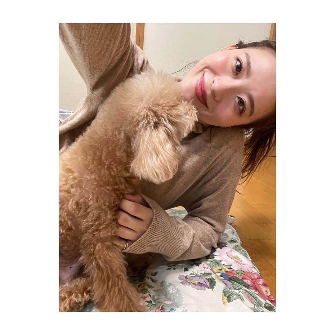 郡司恭子さんのインスタグラム写真 - (郡司恭子Instagram)「* 2年ぶりに祖母のところへ👵✨  おこたつに入って、おしゃべり🍊！ 短い時間でしたが、 元気そうで、楽しそうでよかった〜☺️✨  なんで祖母のお家って 花柄🌼🌸が多いんだろう…笑  #こたつ #🍊 #🐶 #トイプードル #怒り気味？ #日本テレビアナウンサー #日本テレビ #郡司恭子」12月27日 20時22分 - kyoko_gunji