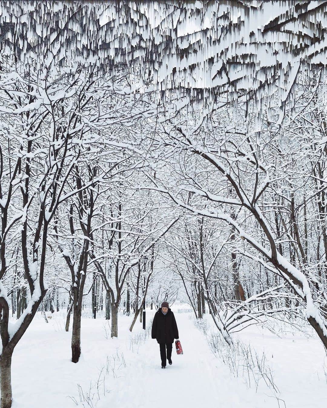 Ilya Mikhailovのインスタグラム：「Матрица 👾」
