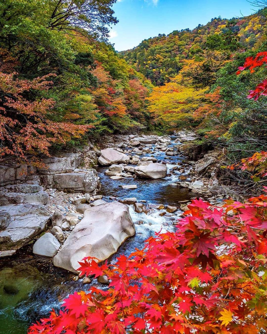 Bi Rod by Lumica.のインスタグラム：「Beautiful autumn leaves in Japan taken with #birod 6C-7500, the 7.5m long camera monopod.  Photo by @takuma_kimura_photo  #birod #birod6c7500 #highangle #highangleshot #aerialphotography #notdrone #olympus #olympusphtotography #olympuscamera #okayama #japan #japanphotography #japanphoto #autumnleaves #autumncolors #japan_of_insta #greatsetobridge #photo_jpn #photo_japan #japantrip #japan_vacations #japanview #sceneryphotography」