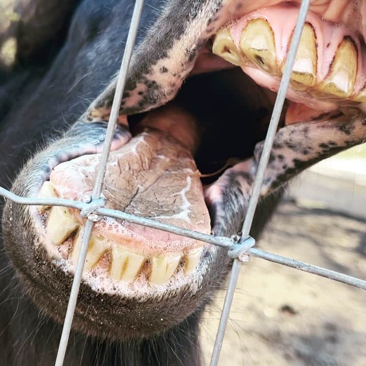 石田政博のグルメインスタ