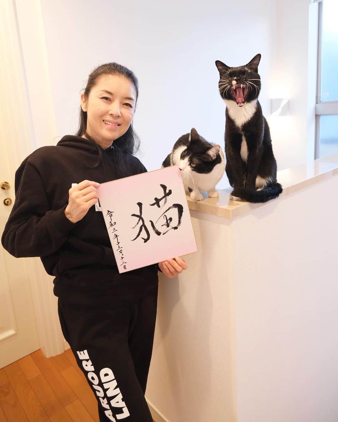 藤あや子さんのインスタグラム写真 - (藤あや子Instagram)「今年の漢字　『猫』  今年も色々ありましたが、やっぱりこれですね😉  #今年の漢字 #猫 #3年連続 #一択 #マルオレ #恒例行事」12月13日 14時41分 - ayako_fuji_official
