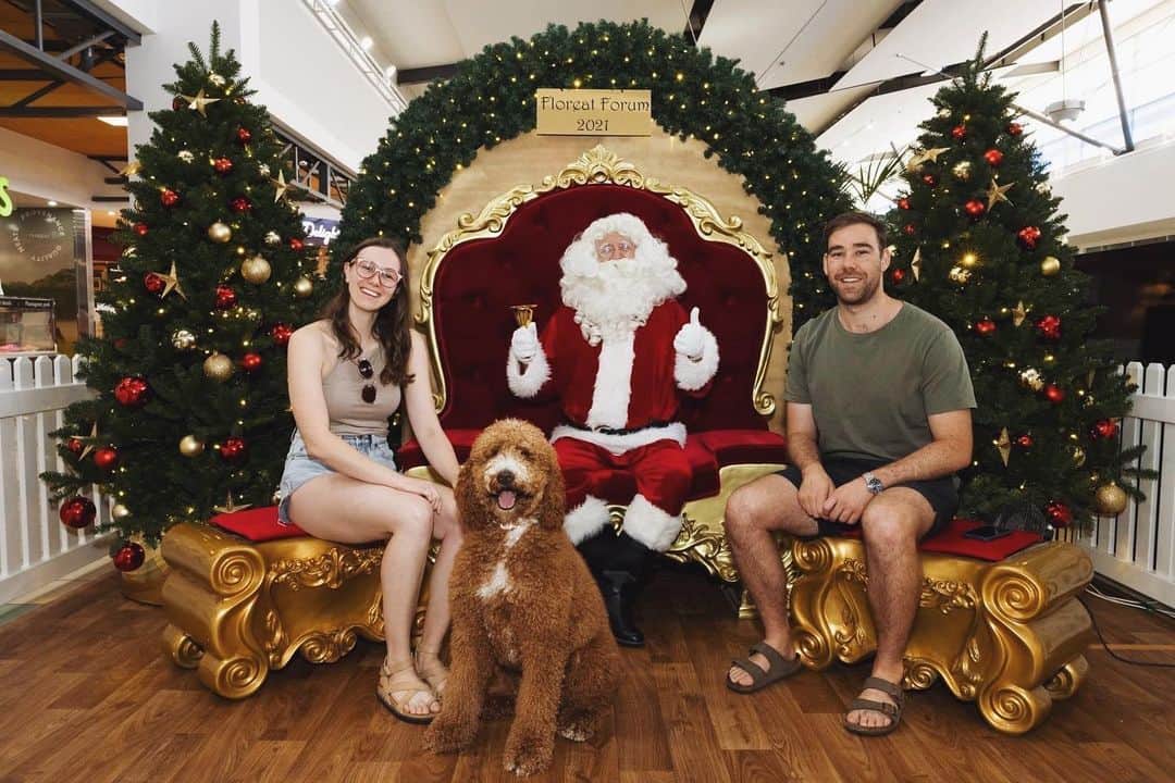 グラント・アーヴァインのインスタグラム：「Santa Paws 🎅🏼」