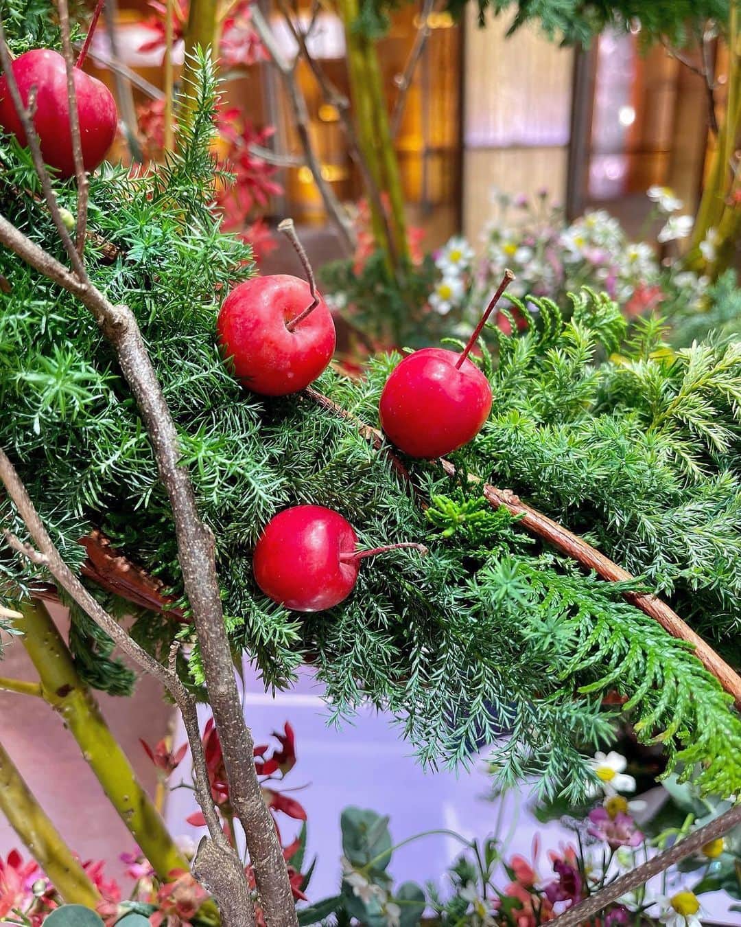 渡辺瑠海さんのインスタグラム写真 - (渡辺瑠海Instagram)「. 今週のお花。  さくらんぼ？？  違うんです 小さな小さなりんごなんです  この小さな小さなりんごが リースの飾りになっていました かわいいねぇ…  #報ステ #月曜日の楽しみ #🍎」12月14日 1時24分 - rumi_watanabe_ex