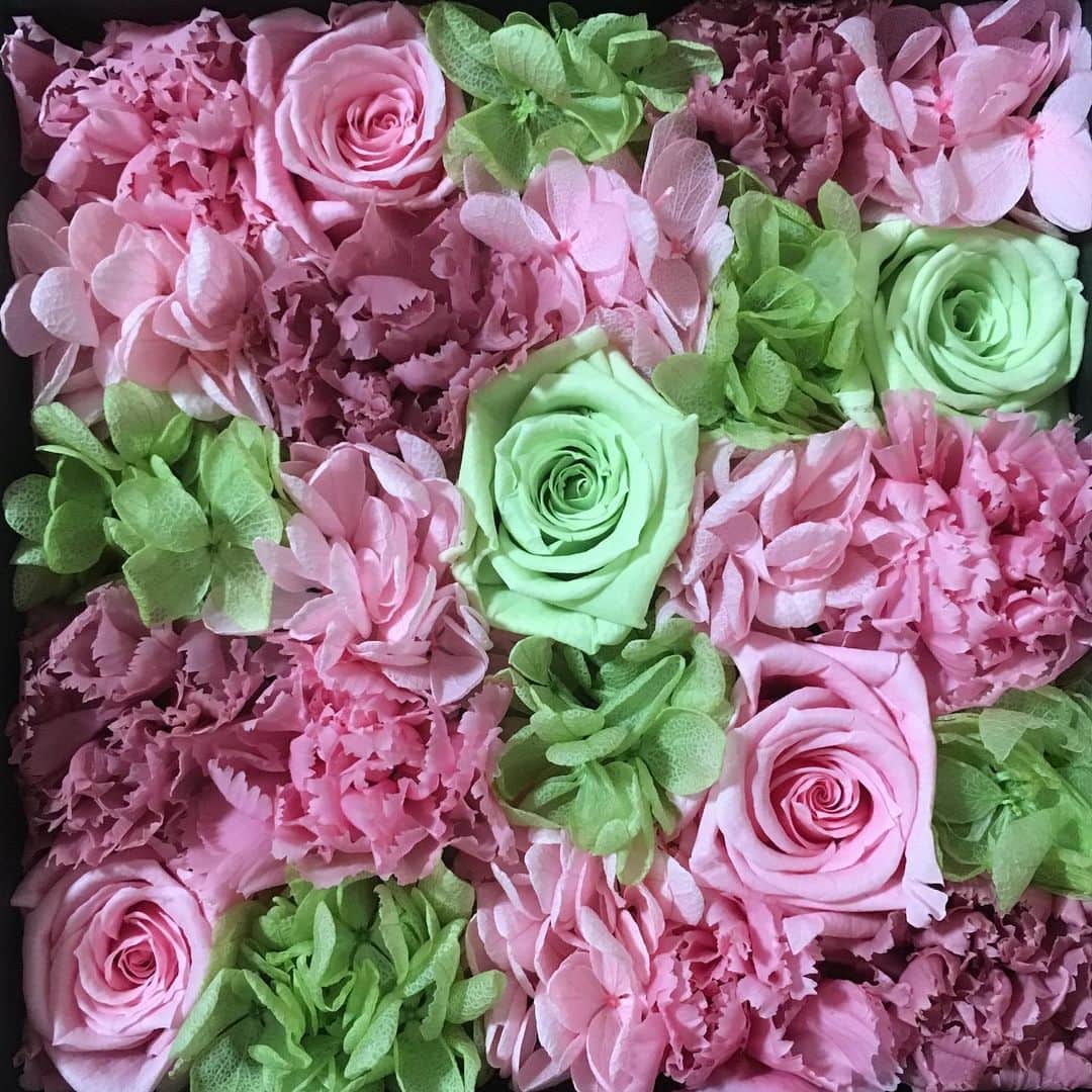 橋村依里南（泉屋アイナ）さんのインスタグラム写真 - (橋村依里南（泉屋アイナ）Instagram)「以前プレゼントでいただいたお花💐 嬉しい🥰💓💓💓 ずっと置いておけるお花なの🌸✨  #花 #flower #flowers」12月14日 14時00分 - h__irina_a