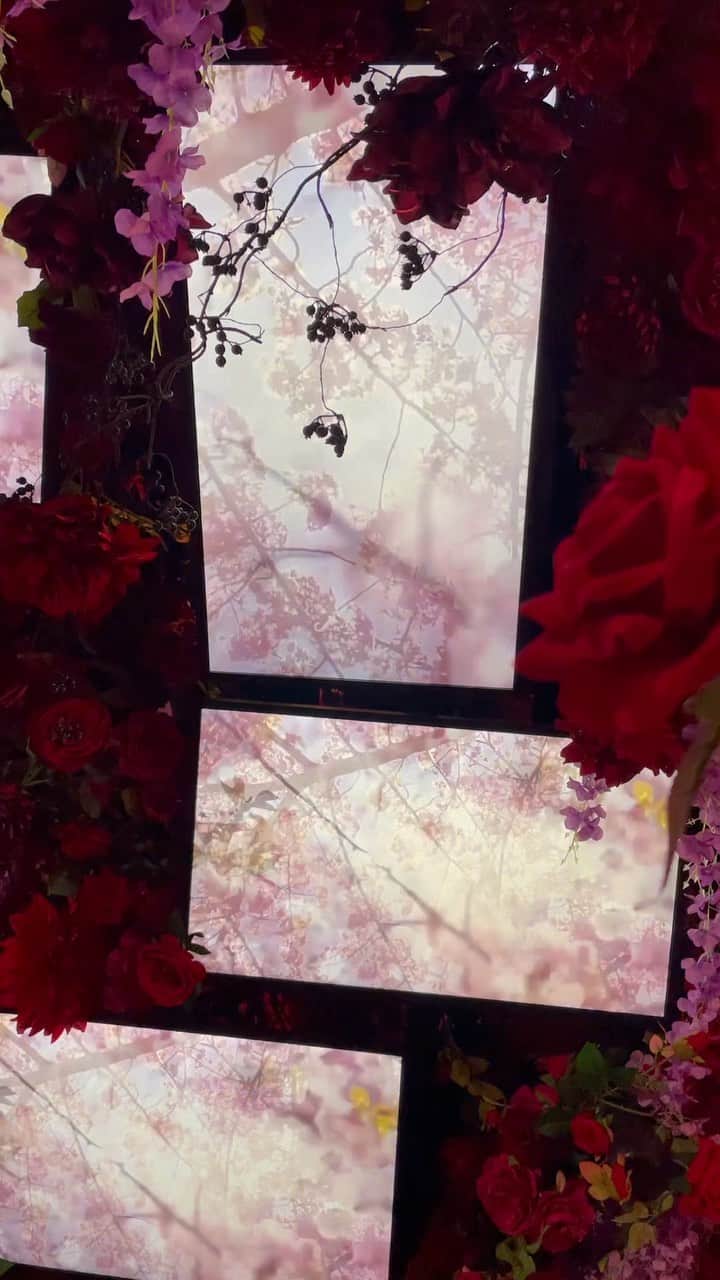 のインスタグラム：「🥀🌸✨」
