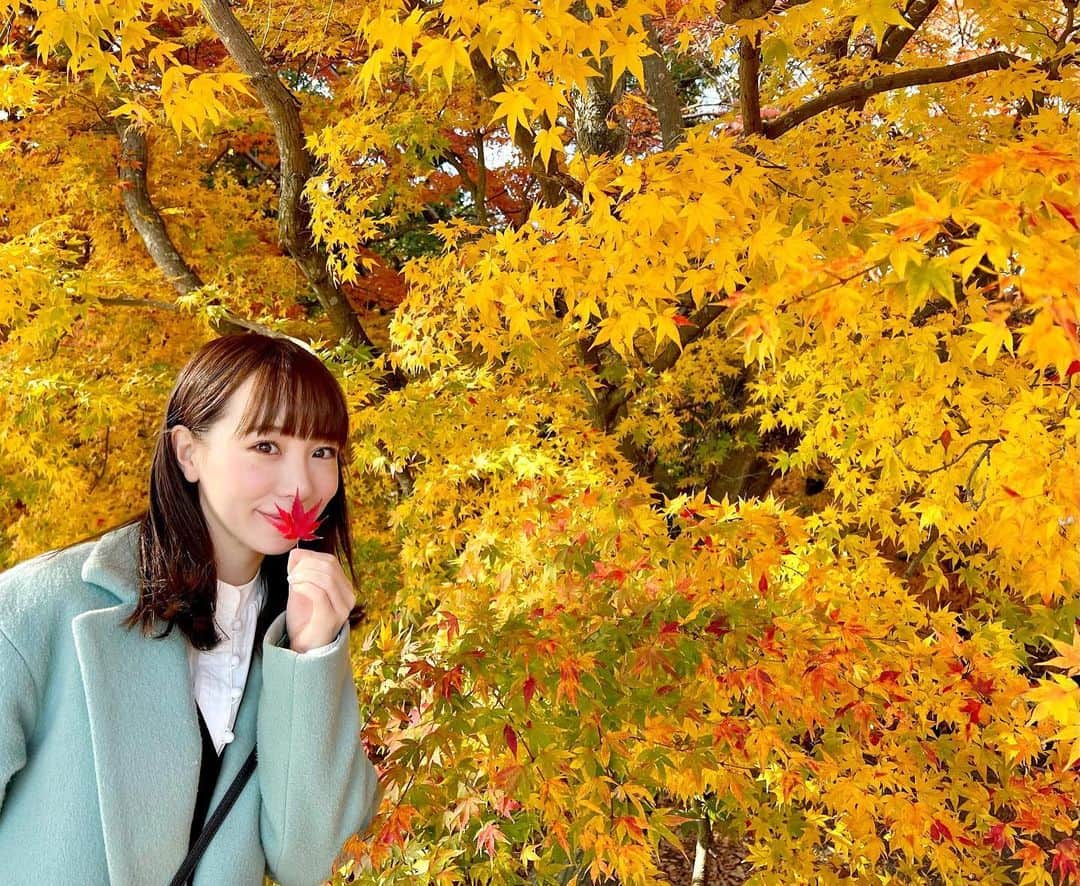 島川未有のインスタグラム