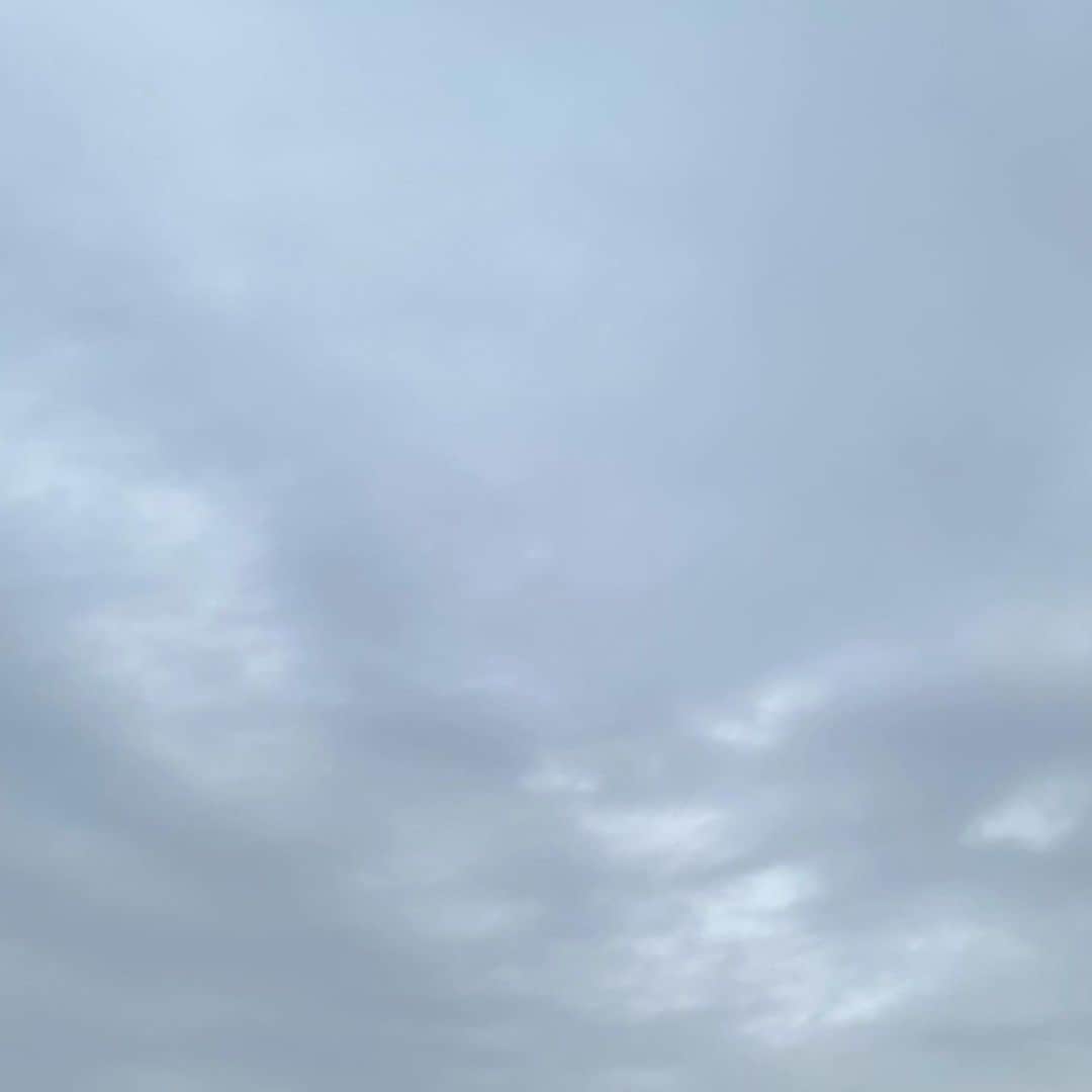 吉井明子さんのインスタグラム写真 - (吉井明子Instagram)「鉛色の冬の空☁️ 午前中に横浜で初雪を観測しました⛄️❄️  東京都心も正午の気温が3.9度と 真冬でもなかなかない寒さです😖  関東の皆さんは、このあとも 万全な寒さをしてお過ごしください〜！  師走の忙しい時期に 風邪をひきませんようお気をつけくださいね😌  #東京の空 #冬空 #横浜 #初雪 #気象情報 #天気予報 #気象予報士 #気象キャスター #weatherforecaster #기상캐스터　#氣象主播 #吉井明子 #nhk #bs4k #bs1 #bsニュース4k」12月14日 12時51分 - akiko_yoshii_sunny_rain