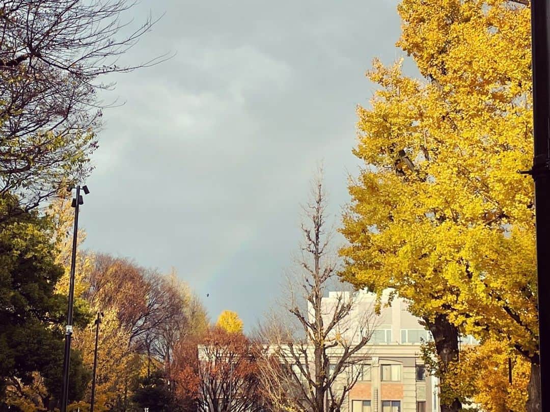 徳永有美さんのインスタグラム写真 - (徳永有美Instagram)「今日は雨の中ロケ…と思いきや、カメラを回し始める頃には晴れてきました😊 よかった。雨上がりの陽射しが優しくて綺麗。 うっすらと虹まで出てみんなで喜び。 #最後の動画 #うなずきがマウンドに立つピッチャーみたいだと #言われましても」12月14日 15時59分 - yumi_tokunaga.official