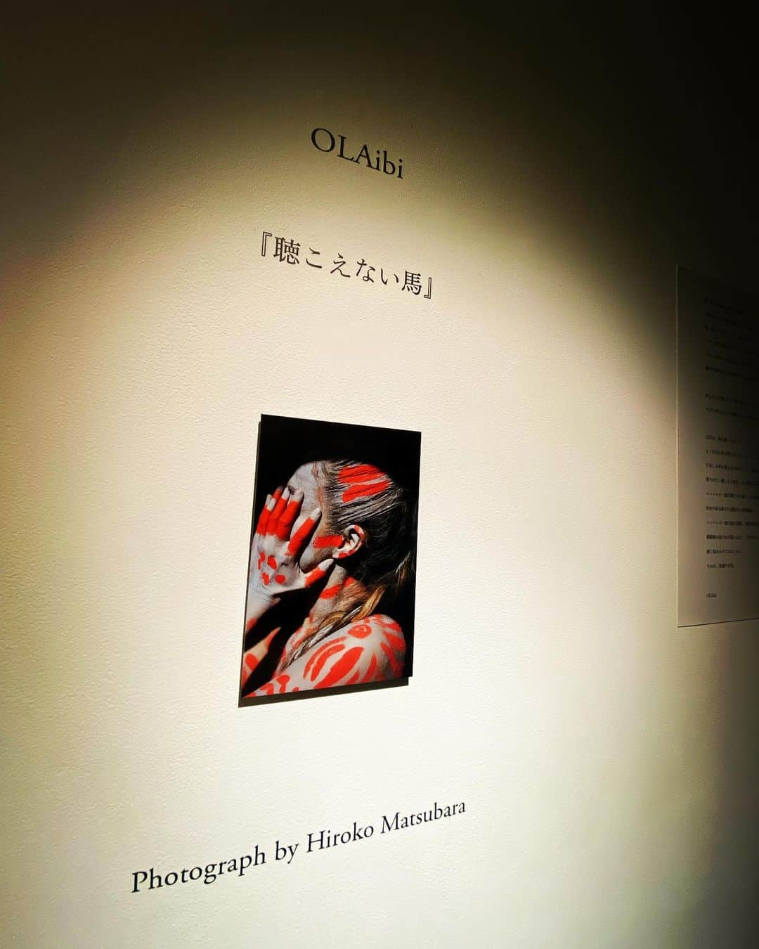 森山直太朗さんのインスタグラム写真 - (森山直太朗Instagram)「『聴こえない馬』  https://cleargallerytokyo.com/olaibi-2021  #OLAibi #希望の矛先」12月14日 17時04分 - naotaromoriyama