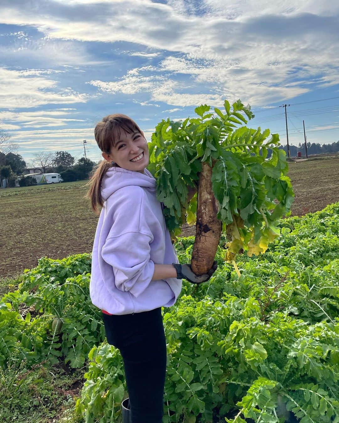 石川恋さんのインスタグラム写真 - (石川恋Instagram)「#恋の畑日記 続き🥕 冬の大収穫祭 with トラ🐯 今日は根菜編〜〜 牛蒡、大根、菊芋を収穫🥔 菊芋は"食べるインスリン"と呼ばれていて 血糖値の上昇を抑える効果があったり、 腸内環境を整えて免疫力UP＆デトックス効果も抜群！ その他にもたくさんの健康効果がある無敵の野菜🔥 紅はるかの焼き芋も美味しすぎた🤤🍠 採れた野菜たちで何作ろうかな〜〜！ #恋とトラと野菜 #恋と野菜 #ベジ活 #農業 #畑」12月14日 19時20分 - ren_ishikawa