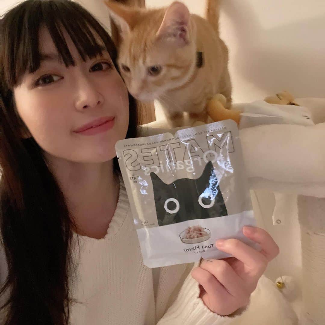 柚月瀬那さんのインスタグラム写真 - (柚月瀬那Instagram)「もうすくシンバ君のペットフード切らしちゃうから新しいオーガニックの試してみたよ❗️ツナ味(グレインフリー、着色料•香料不使用、ヒューマングレード)うちの子はすっごく気に入ってました🐱 犬用のもあるみたいだから実家に送ろうと思います👍 @mates_organics 🐶🐱  PR @mates_organics #MATES_organics #メイツオーガニック #ペットフード #犬の食事  #猫の食事 #ペットのいる暮らし　#pr」12月14日 20時44分 - iam13dearu