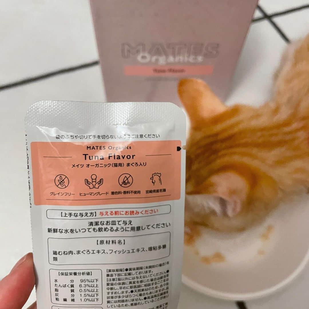 柚月瀬那さんのインスタグラム写真 - (柚月瀬那Instagram)「もうすくシンバ君のペットフード切らしちゃうから新しいオーガニックの試してみたよ❗️ツナ味(グレインフリー、着色料•香料不使用、ヒューマングレード)うちの子はすっごく気に入ってました🐱 犬用のもあるみたいだから実家に送ろうと思います👍 @mates_organics 🐶🐱  PR @mates_organics #MATES_organics #メイツオーガニック #ペットフード #犬の食事  #猫の食事 #ペットのいる暮らし　#pr」12月14日 20時44分 - iam13dearu