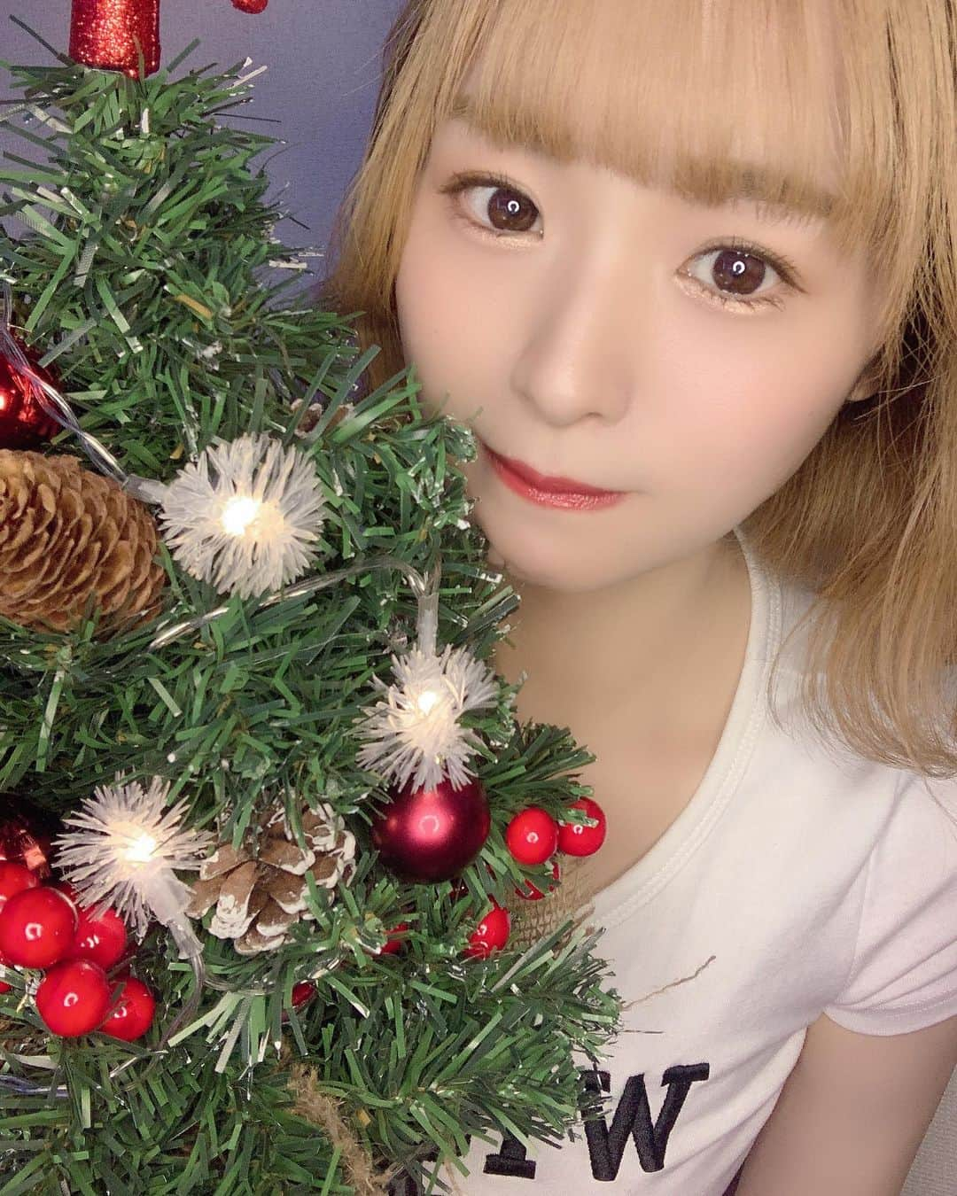 野々宮ミカさんのインスタグラム写真 - (野々宮ミカInstagram)「クリスマスツリー飾り付け したよー☺️ 今年のクリスマス🎄も めっちゃ配信するよー！ みんなはどんな予定？？✨  #bikinigirl  #gravure #野々宮ミカ　#game #fashion #ゲーム女子 #ゲーム #selfie #instagood #自拍 #selfies #gravureidol #japanesegirl #散歩　#cute #shooting #photo #japan #攝影 #人像 #love #グラビア　#shorthair #おうち時間 #맞팔 #金髪」12月15日 18時42分 - nonomiyamika