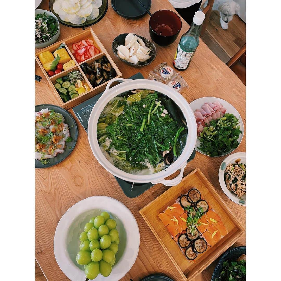 原田沙奈子さんのインスタグラム写真 - (原田沙奈子Instagram)「みんなでキッチンに立って、 あーだこーだ言いながらのお料理。 @しのぶちゃん宅  しのぶちゃんの畑のお野菜たちに感動しつつ、 出来上がりのテーブルが、もう、好きなものばっかり🤤 贅沢だわー  みんなパパパッとやっちゃって手際良いし。 自分の持ち場を的確に把握して。← 機敏に動いて本当に気の利く愛おしい人たち。  キッチンに立ってるみんなの姿、 ずっと見ていられるくらい好き🤍  それにしても素敵なお家だったなー。  6枚目の動画の、 「ドーナツはご飯食べてからぁ！」の @mami_ishioka と、 「ドーナツ作ろうと思ったのよ、おばちゃんー」の @sinobuuta と、 一連の動画を冷静に撮ってる @amiharunaami を想像するだけで、 ワイン何杯もいける。笑  #おうちごはん#キッチン」12月15日 18時58分 - sanakoharada