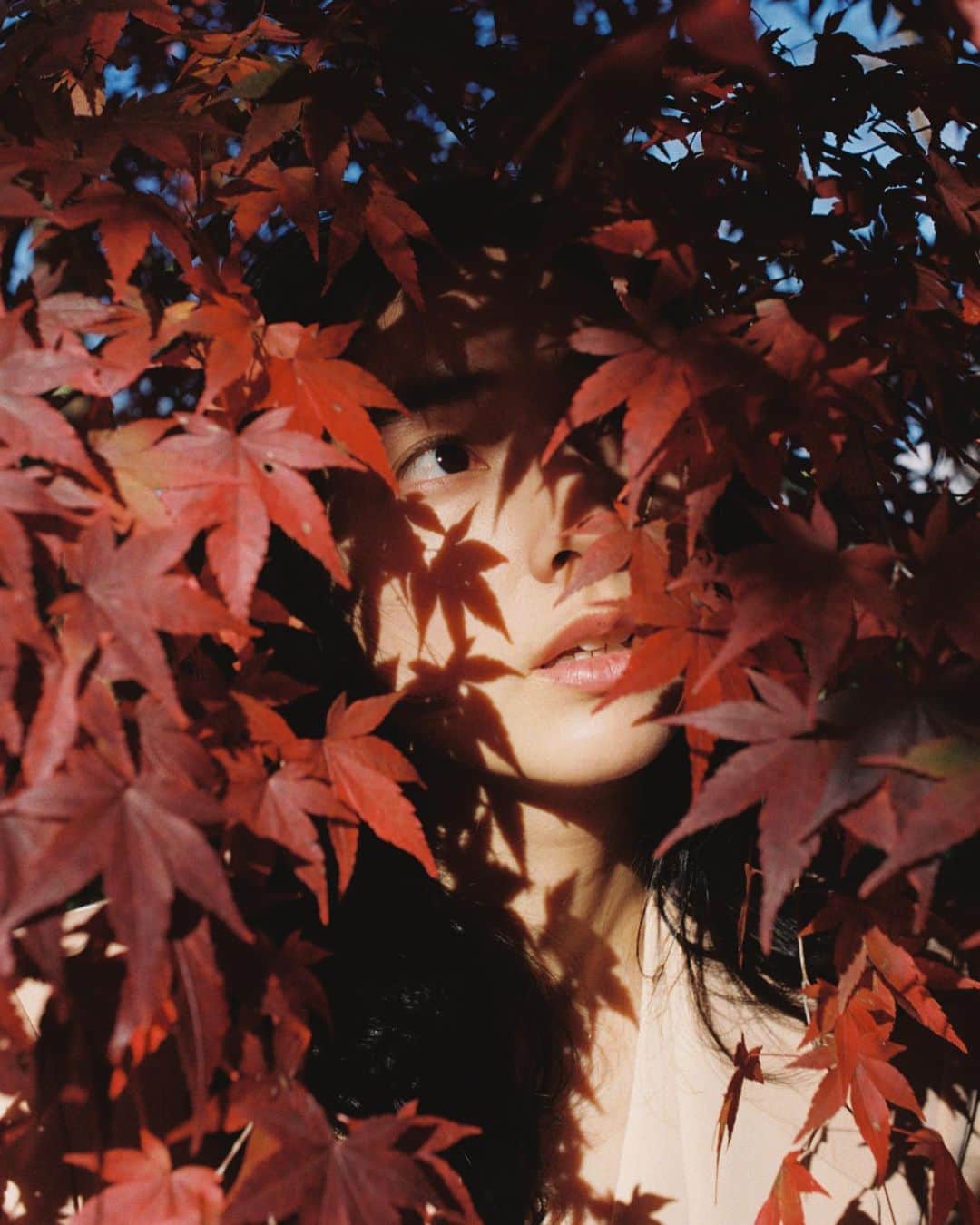 仁村紗和のインスタグラム：「🍁🍁👀🍁🍁」