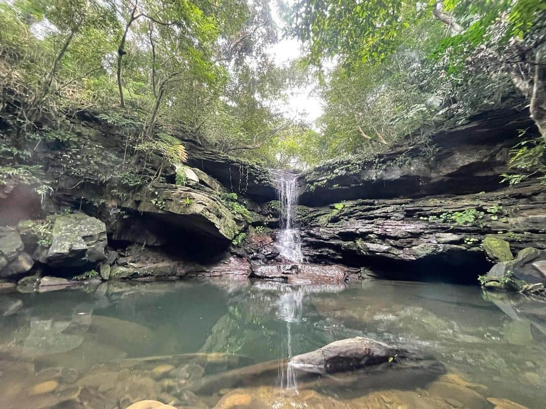 龍野伶奈さんのインスタグラム写真 - (龍野伶奈Instagram)「石垣島から西表島へ🌿 西表島に行ったら絶対やりたかったカヤック&トレッキング🥺 静かで森の香りが凄いいい匂いで自然にめっちゃ癒された。 ちなみに私は写真を撮る係してたから漕いでたのは殆ど旦那さん😂 写真撮って景色眺めてただけ（笑） . #西表島 #西表島旅行」12月15日 22時27分 - tatsunorena