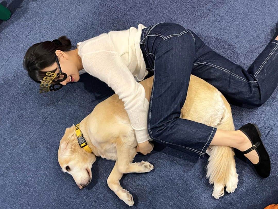 ウォン・ジナのインスタグラム：「해랑이 내꾸야✨ #디비디비에가면귀여운해랑이가있지요🐶」