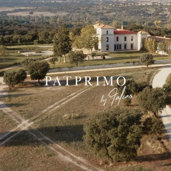 ラダメル・ファルカオのインスタグラム：「Para quienes aún no conocen la colección los invito al Instagram de @patprimo .  Estas prendas están diseñadas para los colombianos que como yo, luchan día a día por cumplir sus sueños y se levantan a pesar de las dificultades, siempre manteniendo su estilo. 😉Disponible en : www.Patprimo.com」
