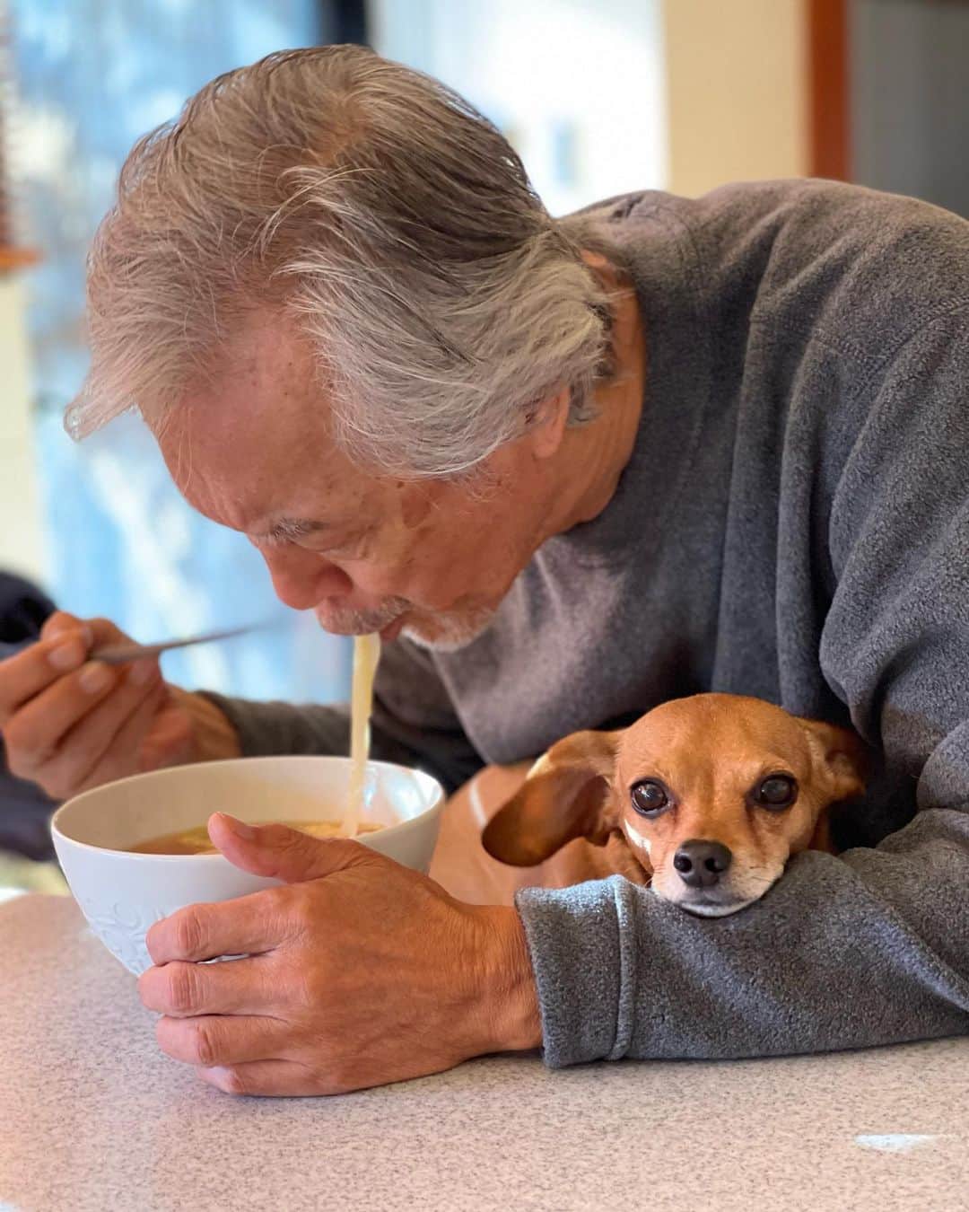 結城アンナさんのインスタグラム写真 - (結城アンナInstagram)「🐶うどん👨🏼‍🦳Udon noodles🐶 ☆☆♡☆☆☆☆☆🍜♡☆☆☆ #iamozzy🐶 #岩城滉一 #adoptdontshop #保護犬 #bestdogever #bestdog #自分をいたわる暮らしごと #北欧が教えてくれたシンプルな幸せの見つけ方」12月16日 8時00分 - ayukihouse
