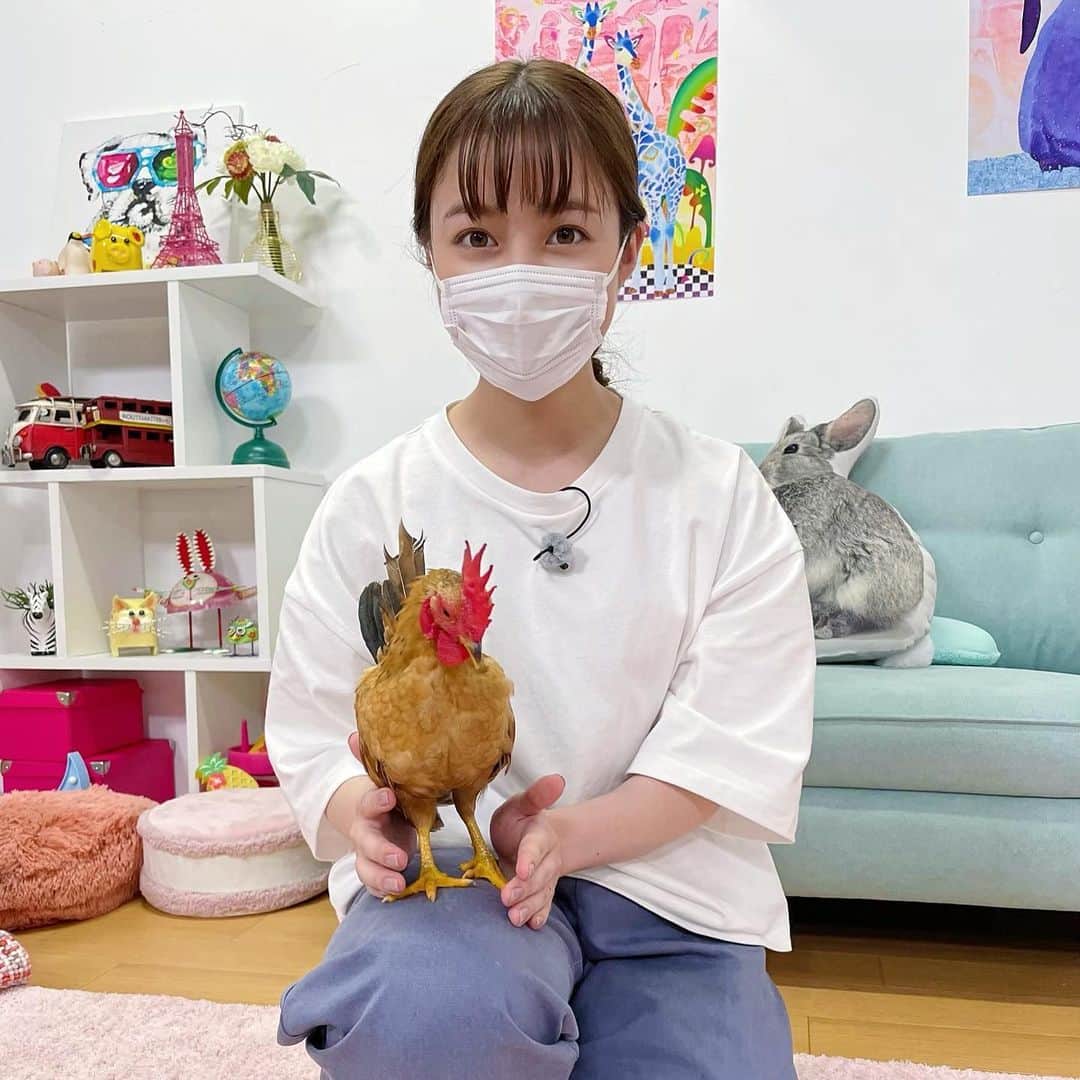 橋本環奈のインスタグラム：「おはようございます！環奈MGです。  I LOVEみんなの動物園からオフショットです🐓  #橋本環奈 #橋本環奈2021 #橋本環奈マネージャー #年末大放出」