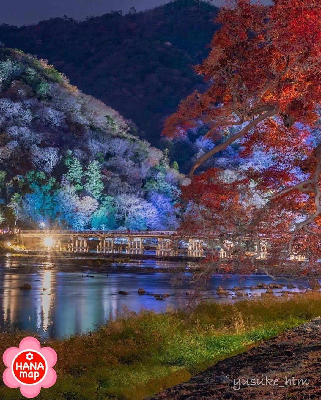 はなまっぷ❁日本の花風景さんのインスタグラム写真 - (はなまっぷ❁日本の花風景Instagram)「🍂🍁はなまっぷの紅葉まつり🍁🍂 * @yusuke_htm さんの 紅葉に花まるを💮 * 色とりどりに染まる美しい日本の秋をありがとうございます😊🍁🍂 * 京都　 #渡月橋 Arashiyama, Kyoto. * 見頃を過ぎている場所もご紹介しています。 お出かけの際はHP等で最新の情報をご確認くださいね🙏🍁 * 🍁•••🍂•••🍁•••🍂•••🍁•••🍂 * いつも素敵なお花をありがとうございます😊 #はなまっぷ #秋#紅葉#風景#autumn#japan#京都#嵐山#kyoto#嵐山花灯路#ライトアップ#夜景 * 🌸••••••お知らせ••••••🌸 * おうちで楽しむお花畑🌸 世界中に贈りたい　花の絶景100 Superb view of flowers 100 大好評発売中！！ Amazonからご購入いただけます📖 （@hanamap プロフィール欄にURL有） 日本の美しい花風景がたっぷり100ヶ所🌸 ぜひご覧ください😄」12月16日 22時20分 - hanamap