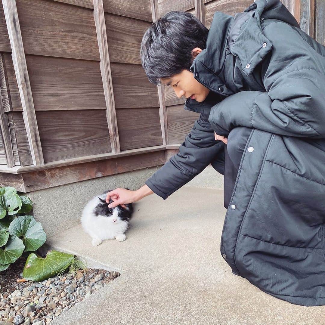 最愛のインスタグラム：「撮影中の癒しの一コマ。 にゃんこと大ちゃん💓  #最愛ドラマ #tbs #松下洸平 #最終話12月17日夜10時」