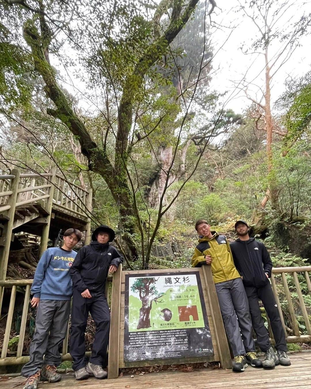 沖悠哉さんのインスタグラム写真 - (沖悠哉Instagram)「雄大な自然を存分に体験して、 パワーをもらってきました。 全ての場所が神秘的。 自然に触れるのは良いですね  #縄文杉トレッキング  #常君屋久島一周 #全部が良い思い出 #強くなろう」12月16日 20時46分 - yuya.oki_31