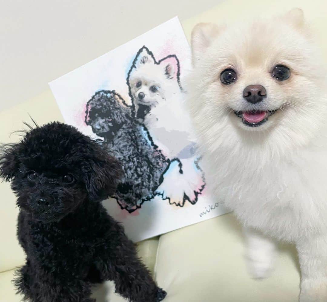 のインスタグラム：「ミコちゃん♡エマちゃん @pet.art.luxlady 様から アートパネルいただいたよ🥺❤️ 可愛すぎて記念に撮影🐶💓💓💓 お部屋の壁に飾ってます(*´°`*)  素敵に仕上げていただき 本当にありがとうございます😭✨✨✨  えまのアカウント、 エマミコ垢にしよかな🐶 #犬 #愛犬 #ペット #ポメラニアン #愛犬との暮らし #愛犬  #黒宮ちはや #小悪魔ageha #モデル #キャバクラ #キャバ嬢 #ホステス #ラウンジ #水商売 #お酒 #歌舞伎町 #新宿 #六本木 #銀座 #北新地 #ミナミ #渋谷 #すすきの #シャンパン」