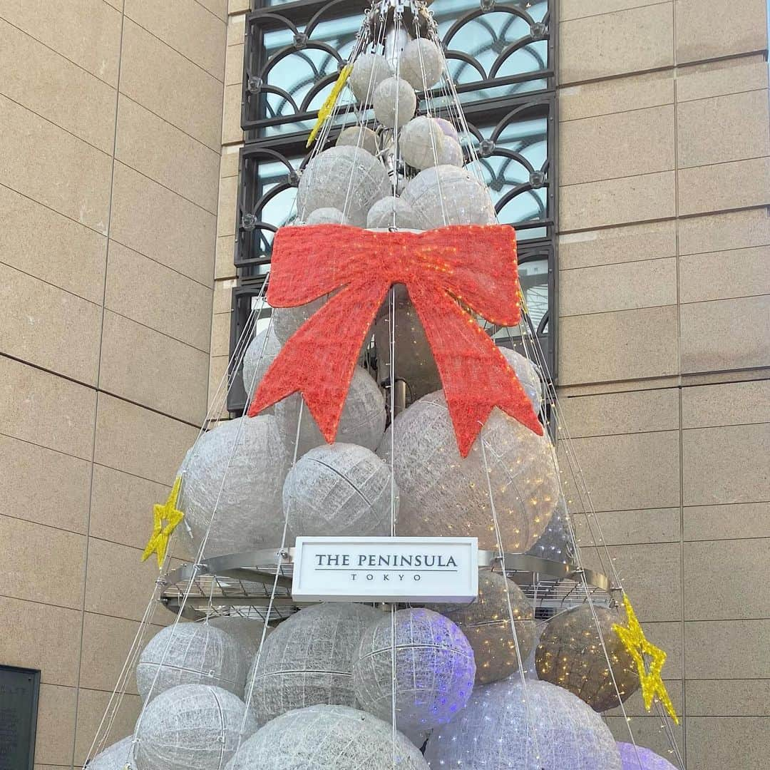 岡田美里さんのインスタグラム写真 - (岡田美里Instagram)「#christmastree 🎄✨」12月17日 16時59分 - okada__misato