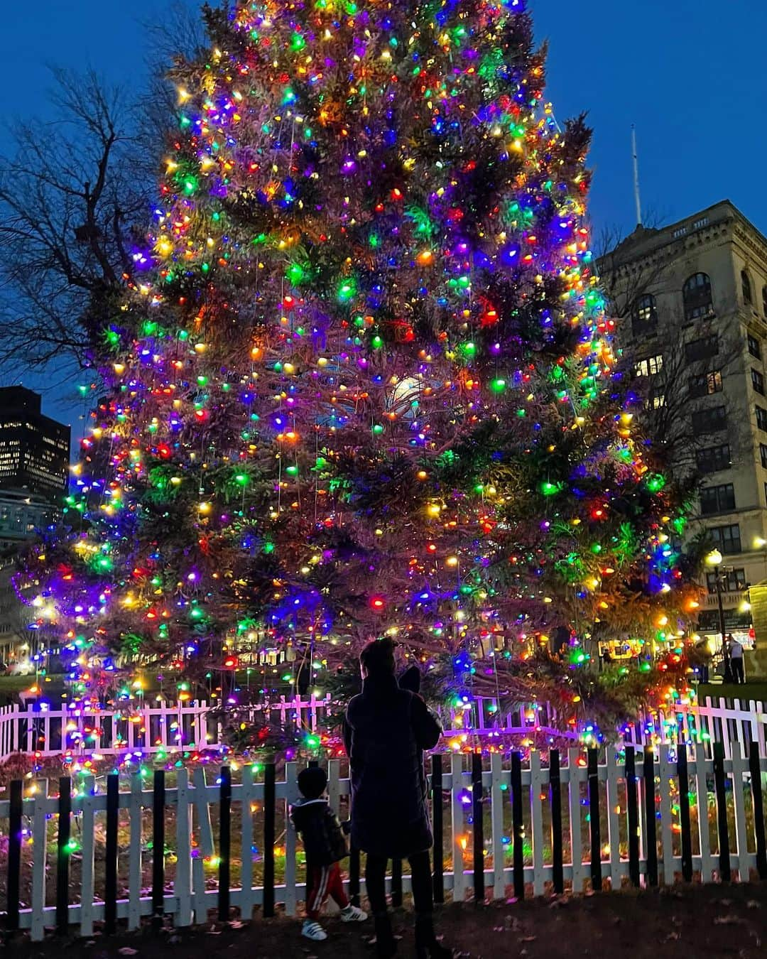 エリザ・ドゥシュクのインスタグラム：「Joy 🔔 Peace 🕊 Blessings to All ♥️」