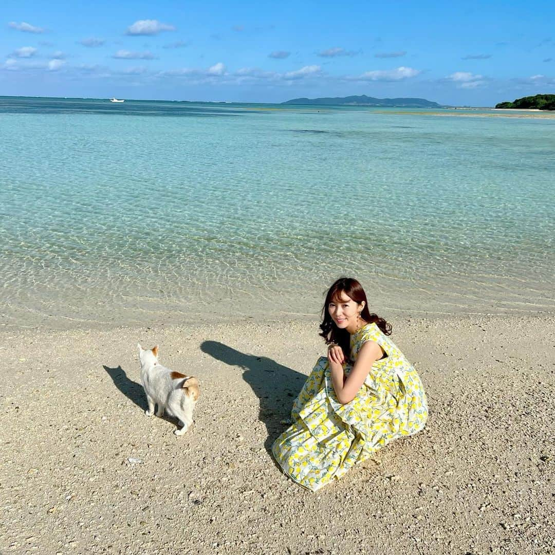 小野澤玲奈のインスタグラム：「ぼくも泳ぎたいにゃ〜の図  #竹富島 #コンドイビーチ #自由ねこ #🐈  #旅行振り返り #海 #透明 #沖縄 #12月」