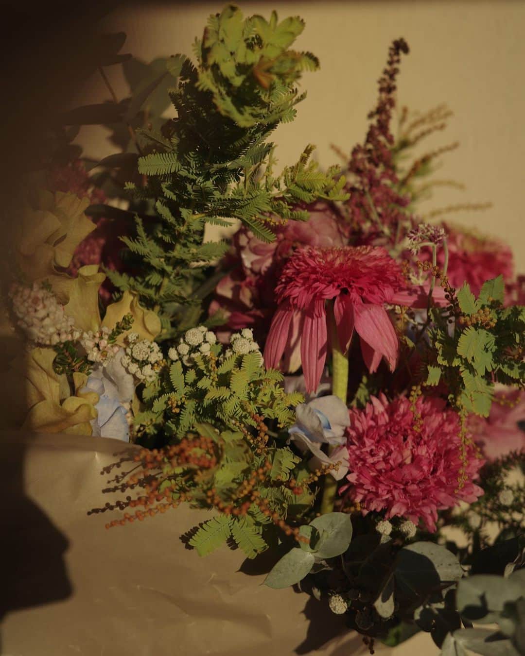 高垣麗子さんのインスタグラム写真 - (高垣麗子Instagram)「* いただいたお花  美しさと、野生的な逞しさと、癒しと  草花のある暮らしは和みます😌🌿  * #flowers  #草花のある暮らし」12月17日 13時01分 - reikotakagaki
