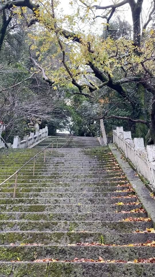 伊澤一葉のインスタグラム：「眉山はうちのおかんとおとんが再会した場所なんだってさ  中学の頃から付き合ってて、高校の終わりで喧嘩別れしたんだってさ それぞれ大学生活を過ごして3年ぶりに再会した(おとんが会いませんか？と誘ったらしい)場所らしい なんとも言えないが　昨日母からLINEがありましたので行ってみました。はじめて聞きました。 そして私は何年後かに産まれました」